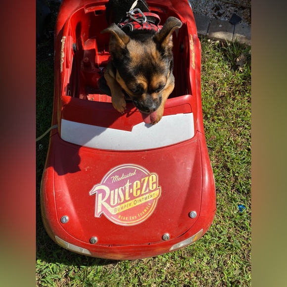 Rachael Cortes - Picture 5 of 7